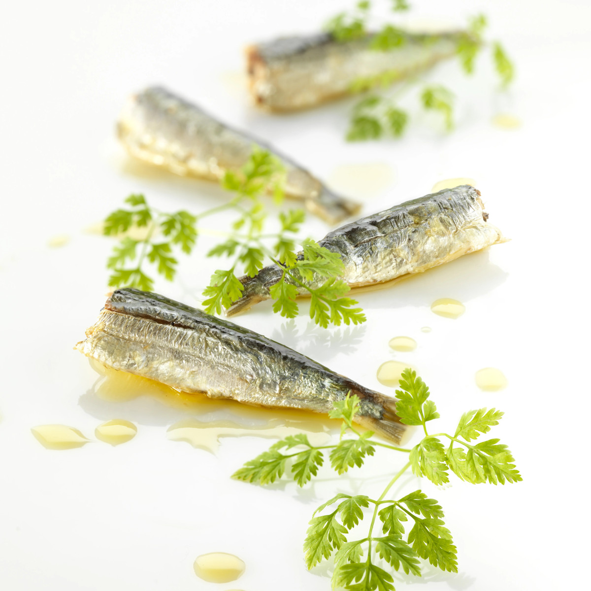 Sardines Millésimées 2019