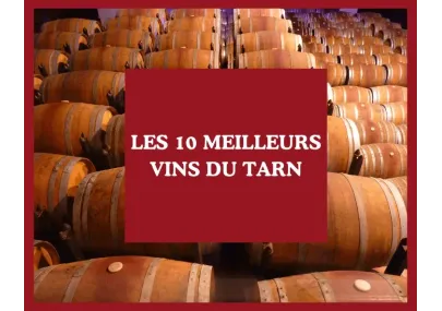 Les 10 meilleurs vins du Tarn : accords parfaits avec les délices DE CHANDEAU