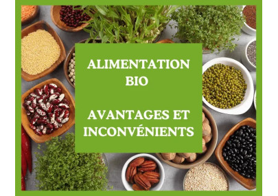 Alimentation bio : avantages, inconvénients et le choix DE CHANDEAU