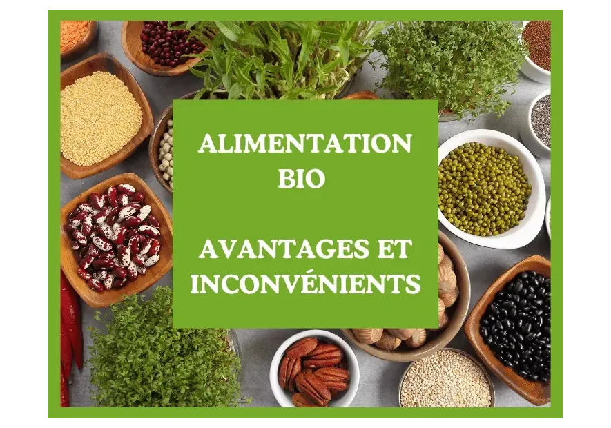 Alimentation bio : avantages, inconvénients et le choix DE CHANDEAU