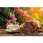 Présentation tasse de café et grains | De Chandeau